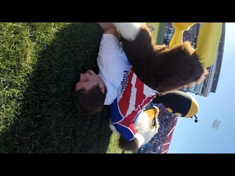 Rookie the Eagle takes out a Spain Fan