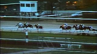 1988 Breeders' Cup Classic