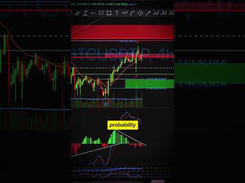 BITCOIN: Profit or Liquidation?