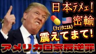 【間接統治から直接統治へ】いよいよアメリカ連邦捜査局（FBI）と、国土安全保障省（DHS）と米軍海兵隊（マリーン）の日本国内合同調査作戦が見られる時が来るのか！？胸アツ過ぎて、もう待てない！！