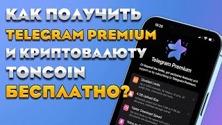Бесплатно получаем Telegram Premium и Toncoin в раздаче от PlayDeck / Полная инструкция