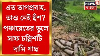 Hooghly News : রাস্তার পাশে পূর্ত দফতরের জমিতে গাছ, পঞ্চায়েতের ভুলে সাফ দামি চল্লিশটি গাছ