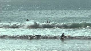 Surf Training School 16 Outubro 2015
