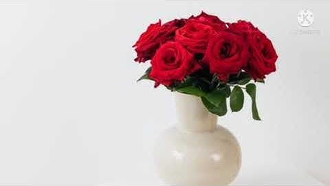 (كنتم خير أمه أخرجت للناس)ماتيسر من ال عمران✨تلاوه هادئه ❤️