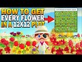 How To Get EVERY Hybrid Flower In A 12x12 Area! Datamined Animal Crossing New Horizons Flower Guide