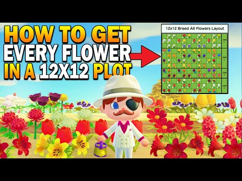 Acnh Flower Breeding Garden Ideas - Smart-Trik