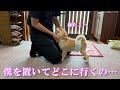 【お留守番】息子の帰りを待っている姿を見たら、胸が締め付けられました…
