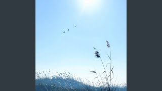 Download Lagu Nikamati Setiap Momen MP3