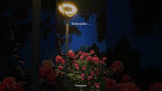 Ba'zan soginasan....😌🌿#rek#obuna boling 4k boleli