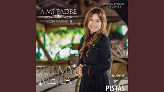 Video thumbnail of "Zulmy Mejia - Precioso Regalo"