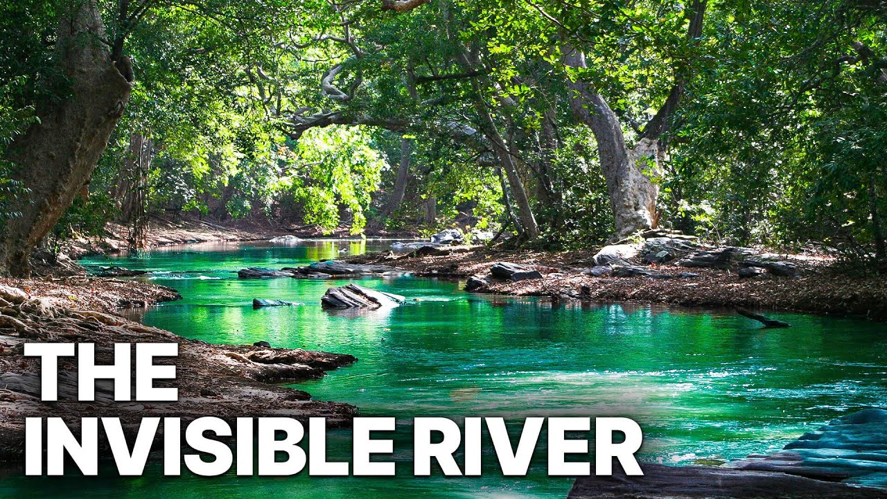 The Invisible River | Extraordinary Biodiversity