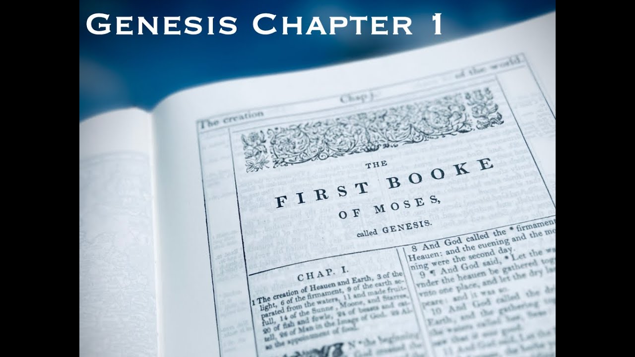Genesis 1 (Verse by Verse Study) - YouTube