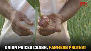 Maharashtra onion growers seek Rs 3,000 MSP amid price crash