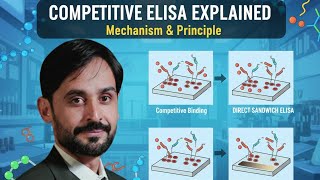 Competitive ELISA | Antigen and Antibody Detection Detail
