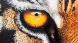 Download lagu ojo de tigre Tiger s Eye dj jeycksson brazon ojo de tigre Tiger s Eye dj jeycksson brazon