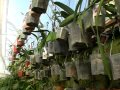 Vivero Marisel