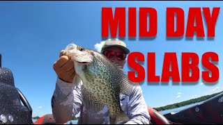 Mid Day Crappie Slam (and Rendlake review)