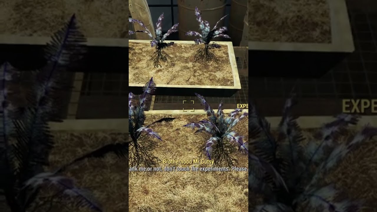 Fallout 4 Nirnroot Easter Egg