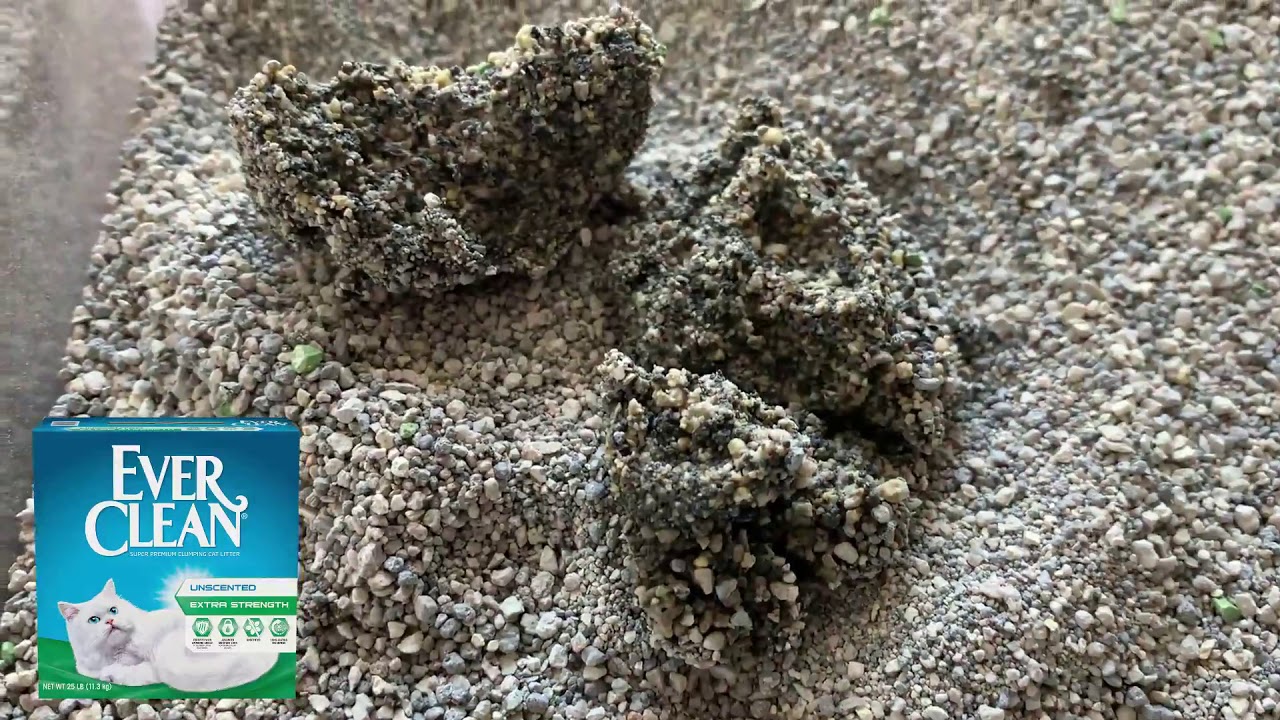 America Litter comparison with other brands YouTube