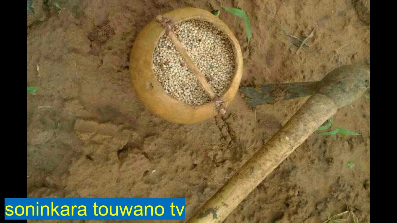 alladji souleymane tafsir ( sourat Kahf )