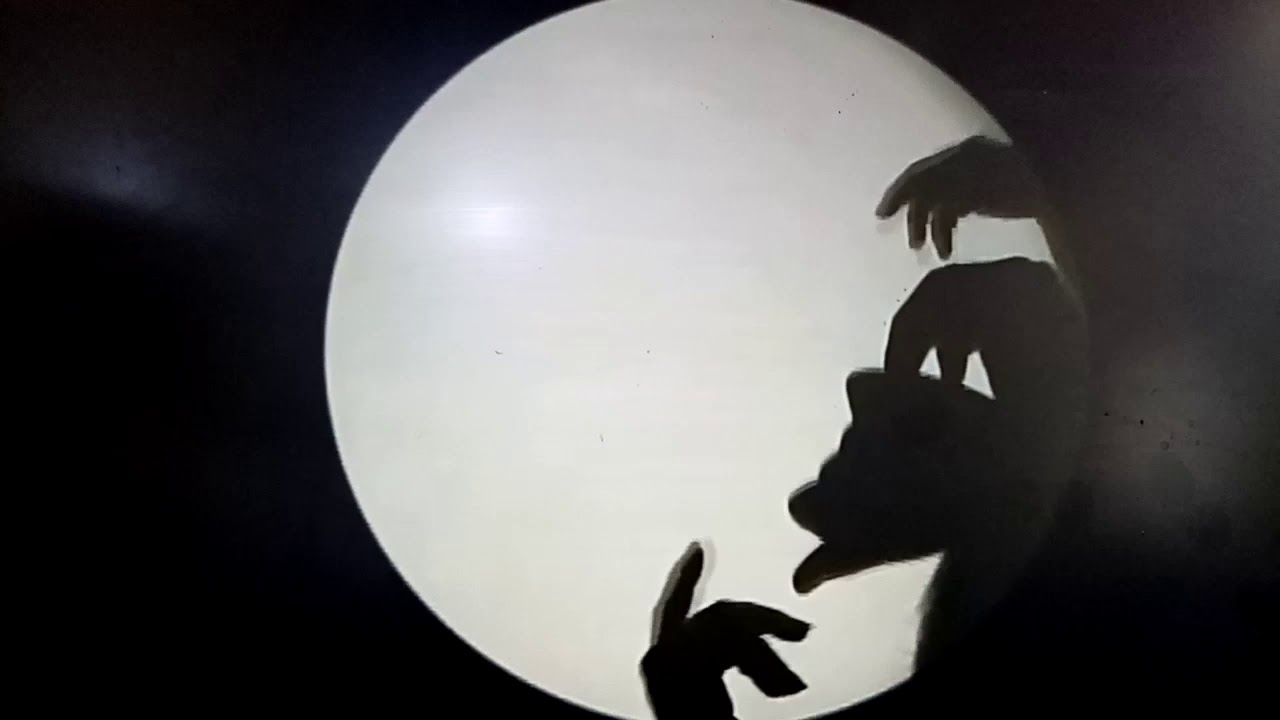 كيف تسوي فن الظلال قرد او غرلا يفوتكم (أمير King)