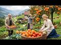 A Peaceful Mountain Village Day — Harvesting, Feeding Animals & Simple Living