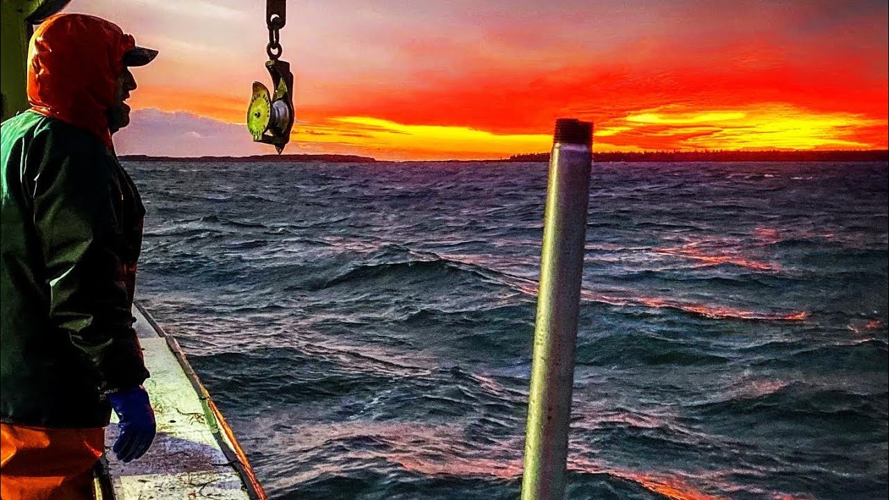 Lobster Mania Part 2 Hauling Traps! YouTube