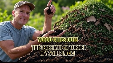 I Replaced Wood Chips with This Free Mulch—The Soil Went Black in Weeks