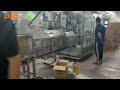 1200bph 5L Edible oil filling production line