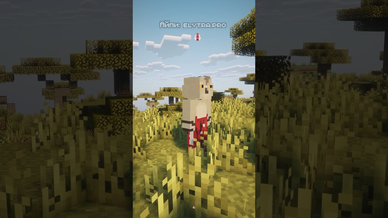 Этот игрок ниже 2-х блоков на выживании в одном чанке! BoxSMP