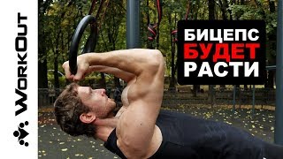 3 Лучших Упражнения На Бицепс С Гимнастическими Кольцами Kuchumov | Никита Подсевакин