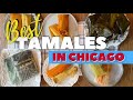 Searching for the BEST Tamales in Chicago | Best Chicago Food