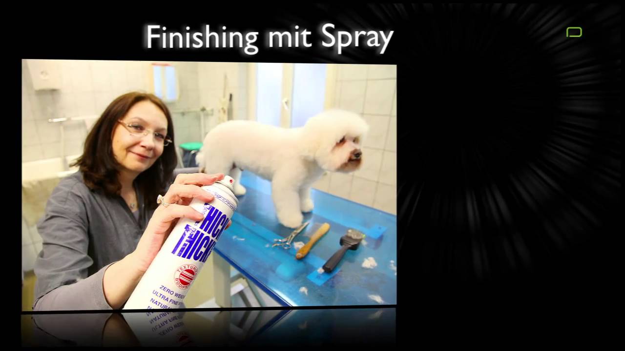 Tiersalon Tiersalon