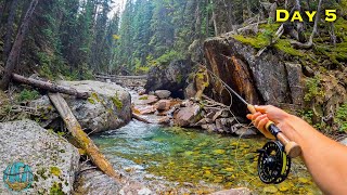 Fly Fishing for a SUPER RARE TROUT! (Threatened Species)