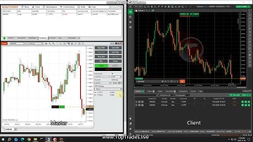 Trade Copier - NinjaTrader to cTrader