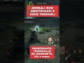 Animali non identificati r dove trovarli Hogwarts Legacy