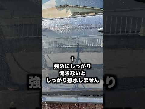 拭き取り不要！吹きかけて流すだけの超簡単コーティング剤！#洗車 #shorts