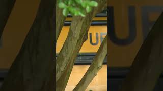 School bus crashes into home injuring 2 students in Virginia