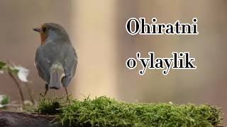 Abdulloh domla | ohiratni o'ylaylik