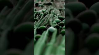 Sigma Cell 🤣🤣#phonkmusic #aivideo #comedyshorts