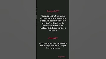 Google BERT VS ChatGPT