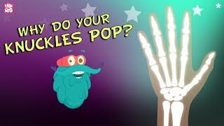 Why Do Your Knuckles Pop? The Dr. Binocs Show | Best Learning Videos For Kids | Peekaboo Kidz