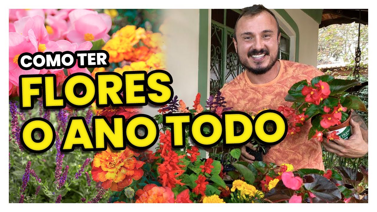 3 FLORES que FLORESCEM o ano todo - thptnganamst.edu.vn