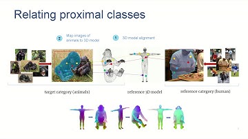 Transferring Dense Pose to Proximal Animal Classes