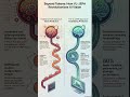 Beyond Tokens : How VL-JEPA Revolutionizes AI Vision