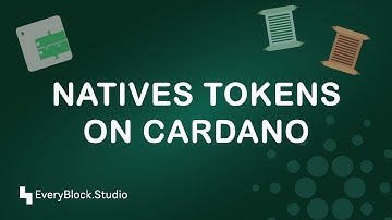 Native custom tokens on Cardano: the anatomy and why it
