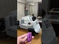 社長に向けてポチってみた