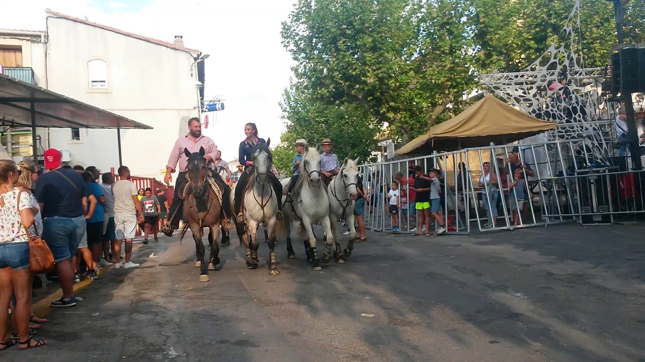 22 Août 2019 À Clarensac - Les Présentations Manade Labourayre