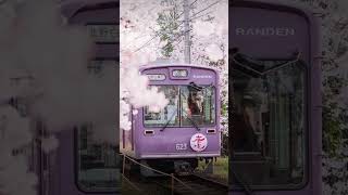 spotify  cover remix love song genre song flowers cute