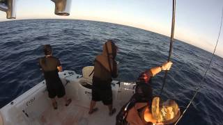 The Fish Ninja Offshore 16Aug2014